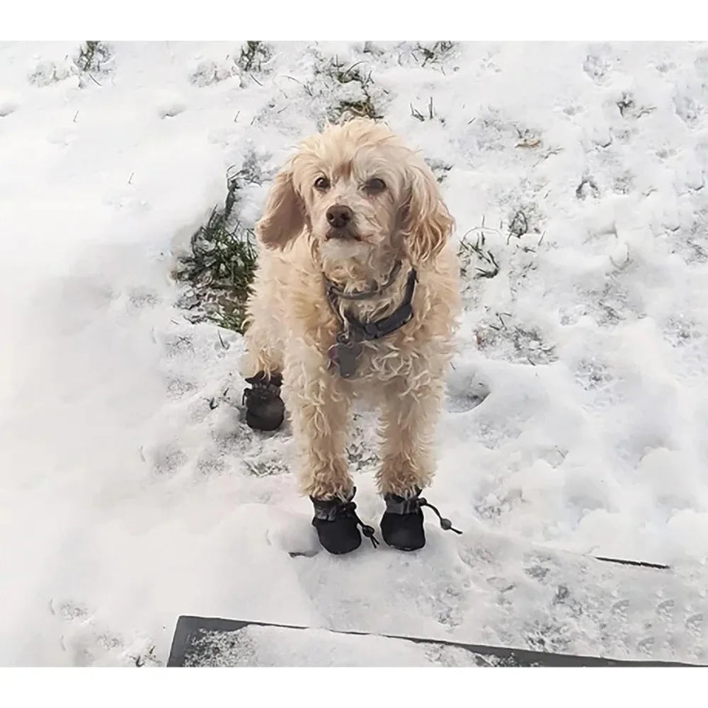 4 Pcs Dog Boots, Waterproof & Warm. Paw Protectors for Small/Medium Dogs, Easy to Put On
