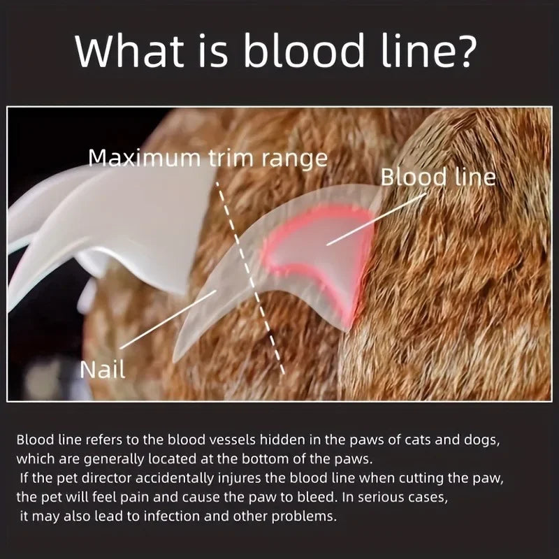 Professional Pet Nail Clipper Scissors With LED Light Cat Dog Nail Clippers Tool Scissors Nail Toeclaw Cutter Scissors