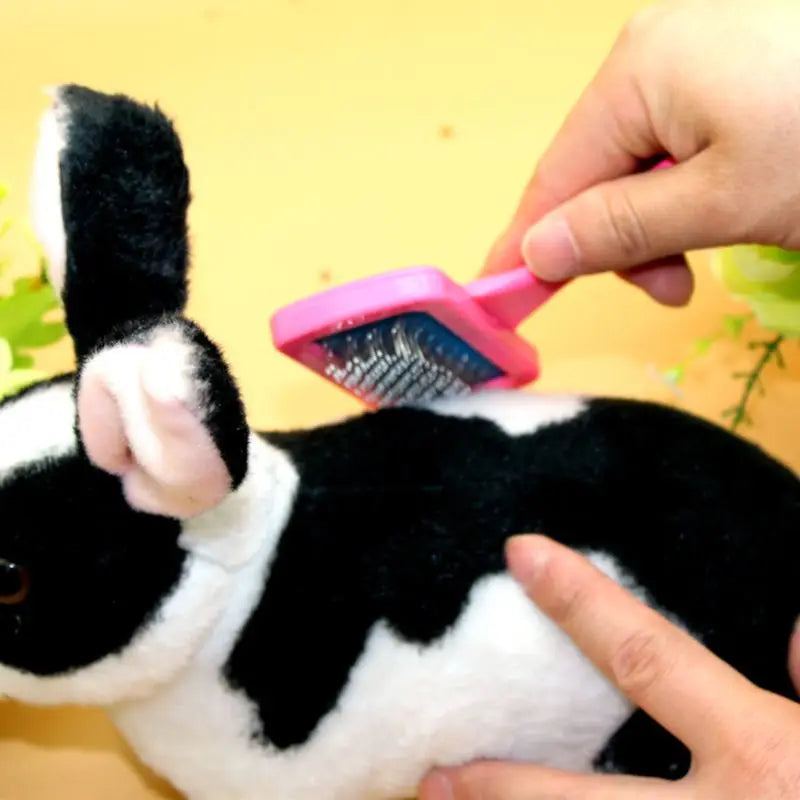 All-in One Pet Grooming Tool -Soft Bristle & Needle Combination Brush, Ideal for Rabbit,Dutch Pig, Guinea Pig Small Animal Care