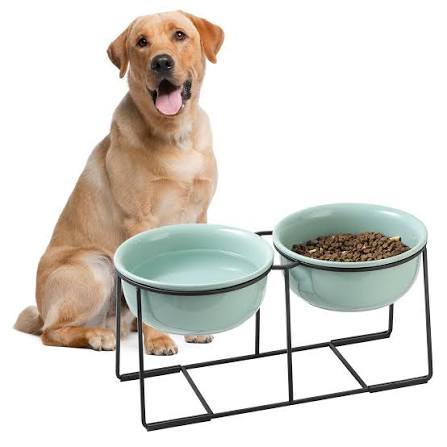 Dog Bowls