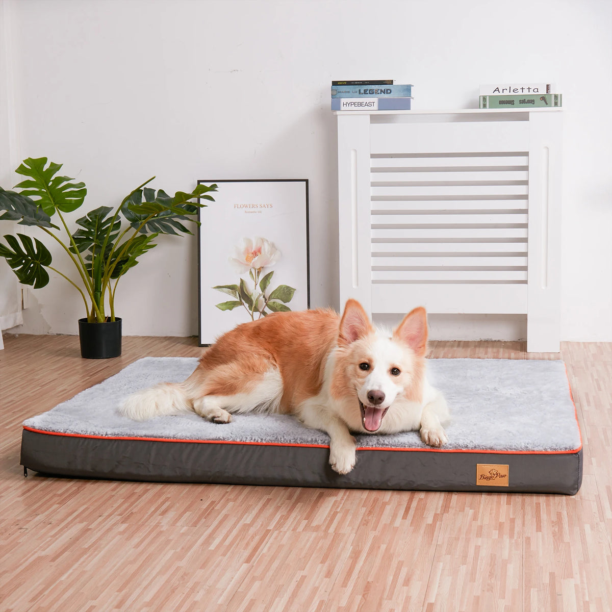 - Large orthopedic dog bed with nonskid bottom