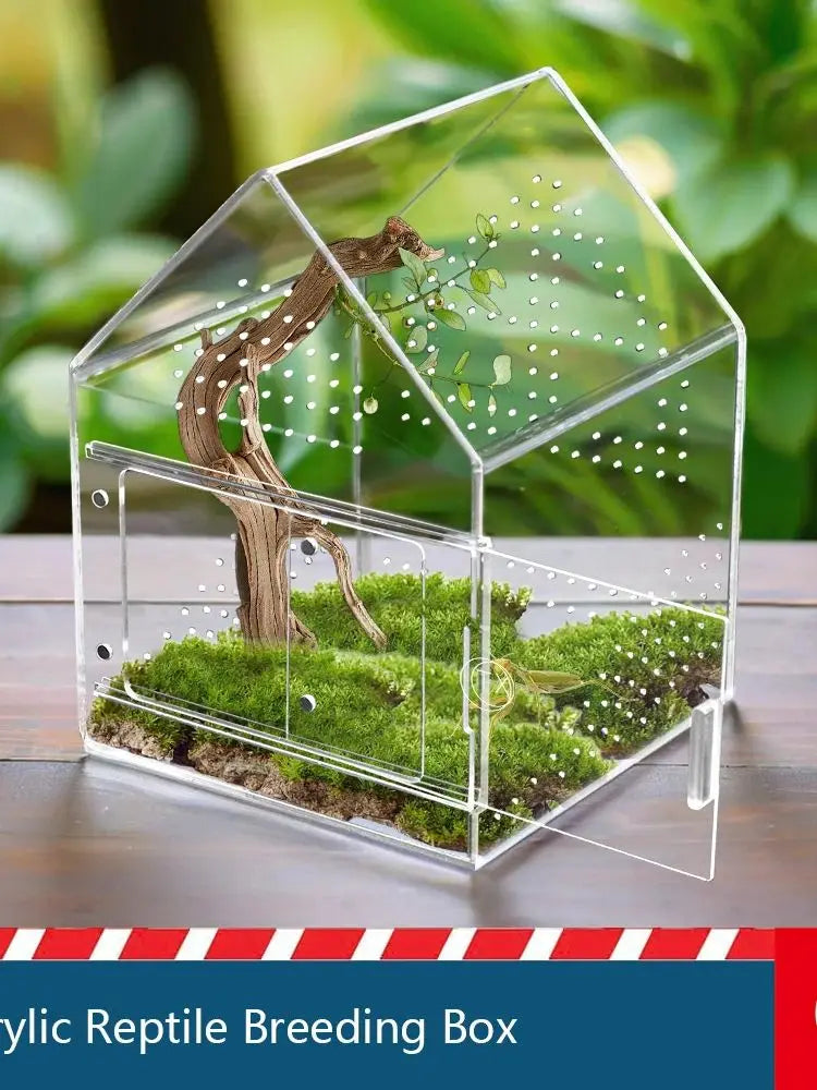 House-Shaped Acrylic Reptile Breeding Box | Transparent Pet Habitat for Spiders, Lizards & Insects | Magnetic Door & Breathable