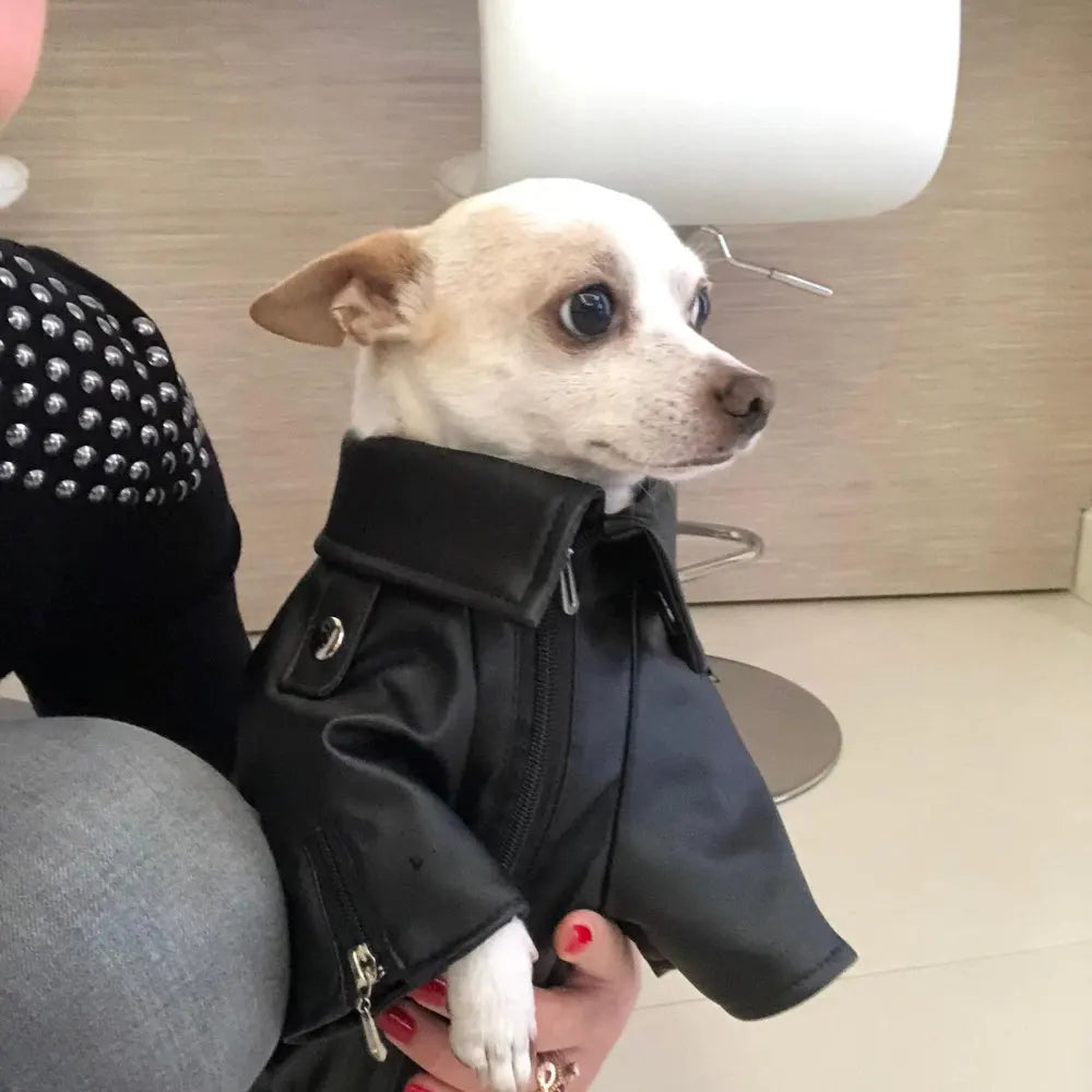 Glorious Eagle Pattern Dog Coat PU Leather Jacket Soft Waterproof Outdoor Puppy Outerwear Fashion Clothes For Small Pet