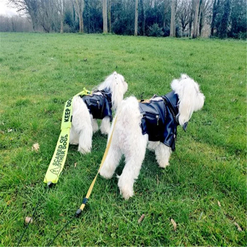 Glorious Eagle Pattern Dog Coat PU Leather Jacket Soft Waterproof Outdoor Puppy Outerwear Fashion Clothes For Small Pet