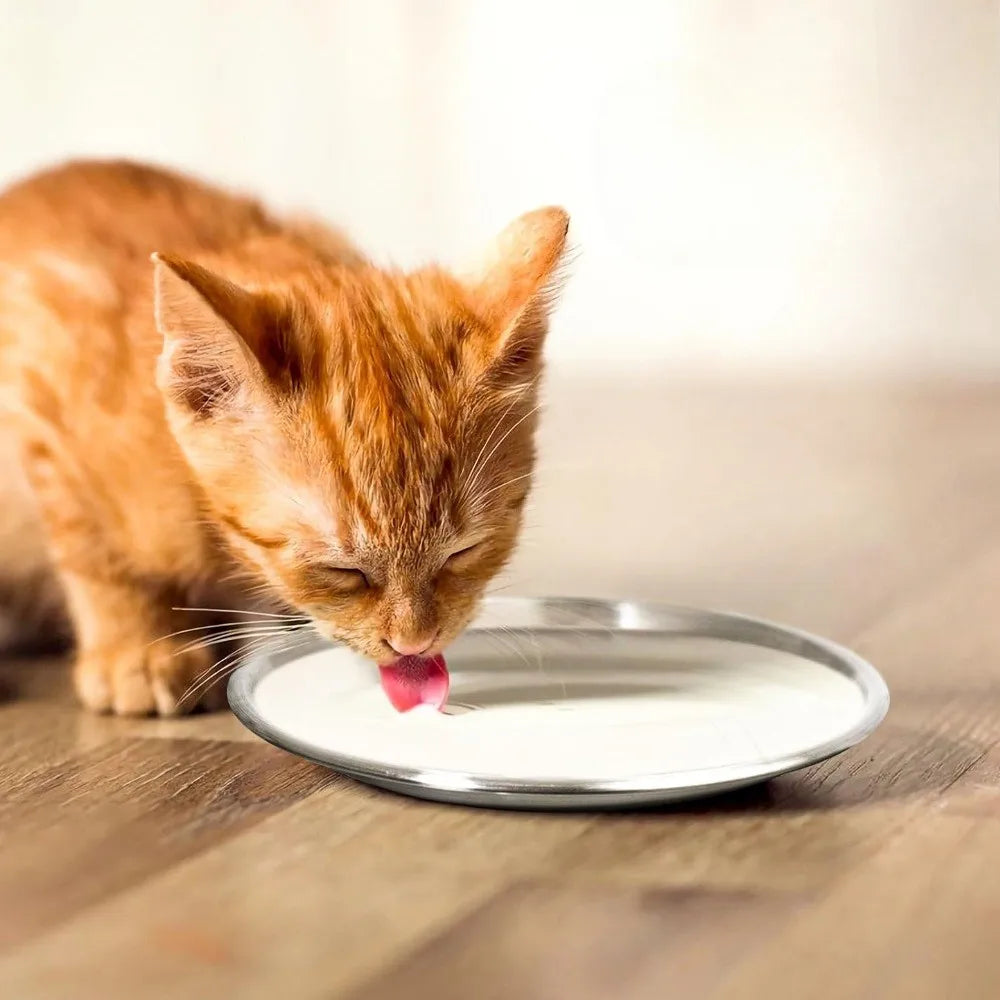 4pcs Whisker-Friendly Stainless Steel Cat Bowls Set - 6.7" Wide Metal Food Bowls with Non-Slip Base, 13oz Capacity, Durable & Easy-Clean Design for Indoor/Outdoor Use, Without Battery