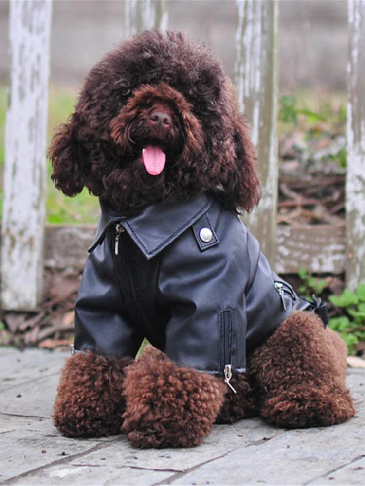 Glorious Eagle Pattern Dog Coat PU Leather Jacket Soft Waterproof Outdoor Puppy Outerwear Fashion Clothes For Small Pet