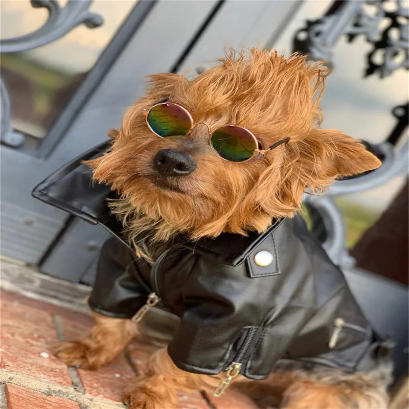 Glorious Eagle Pattern Dog Coat PU Leather Jacket Soft Waterproof Outdoor Puppy Outerwear Fashion Clothes For Small Pet