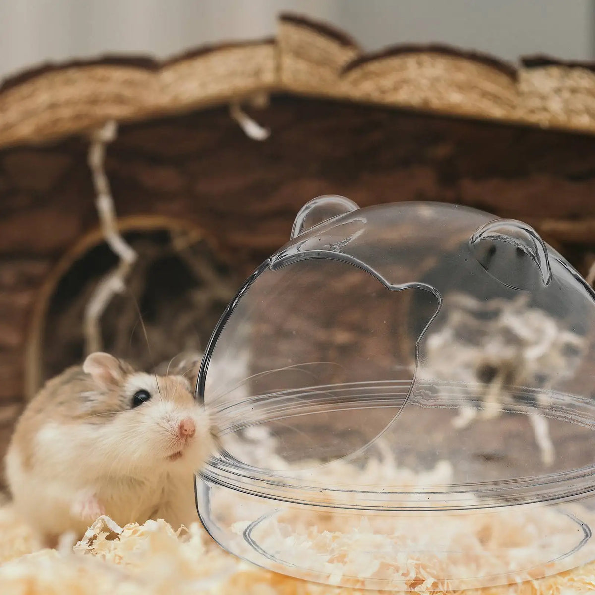 Transparent Plastic Hamster Bath Container Anti Skid Design Small Pet Bathing Tub Guinea Pig Basin Hamster Toilet Grooming