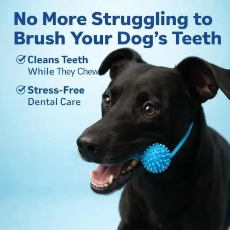 Dual-Action Canine Dental Prop, Dog Dental Chew Toy for Easier Teeth Brushing