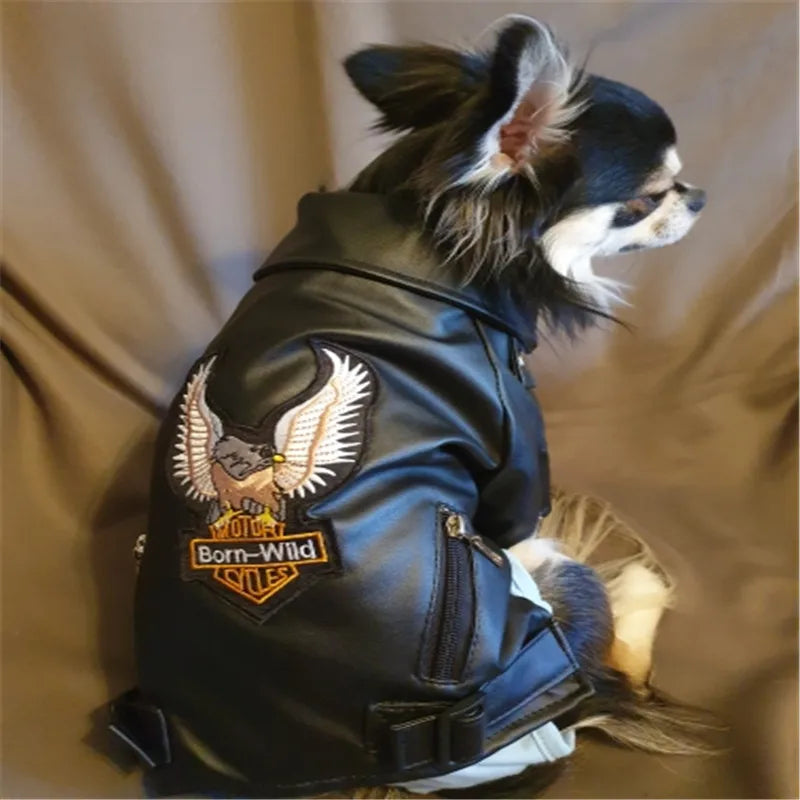 Glorious Eagle Pattern Dog Coat PU Leather Jacket Soft Waterproof Outdoor Puppy Outerwear Fashion Clothes For Small Pet