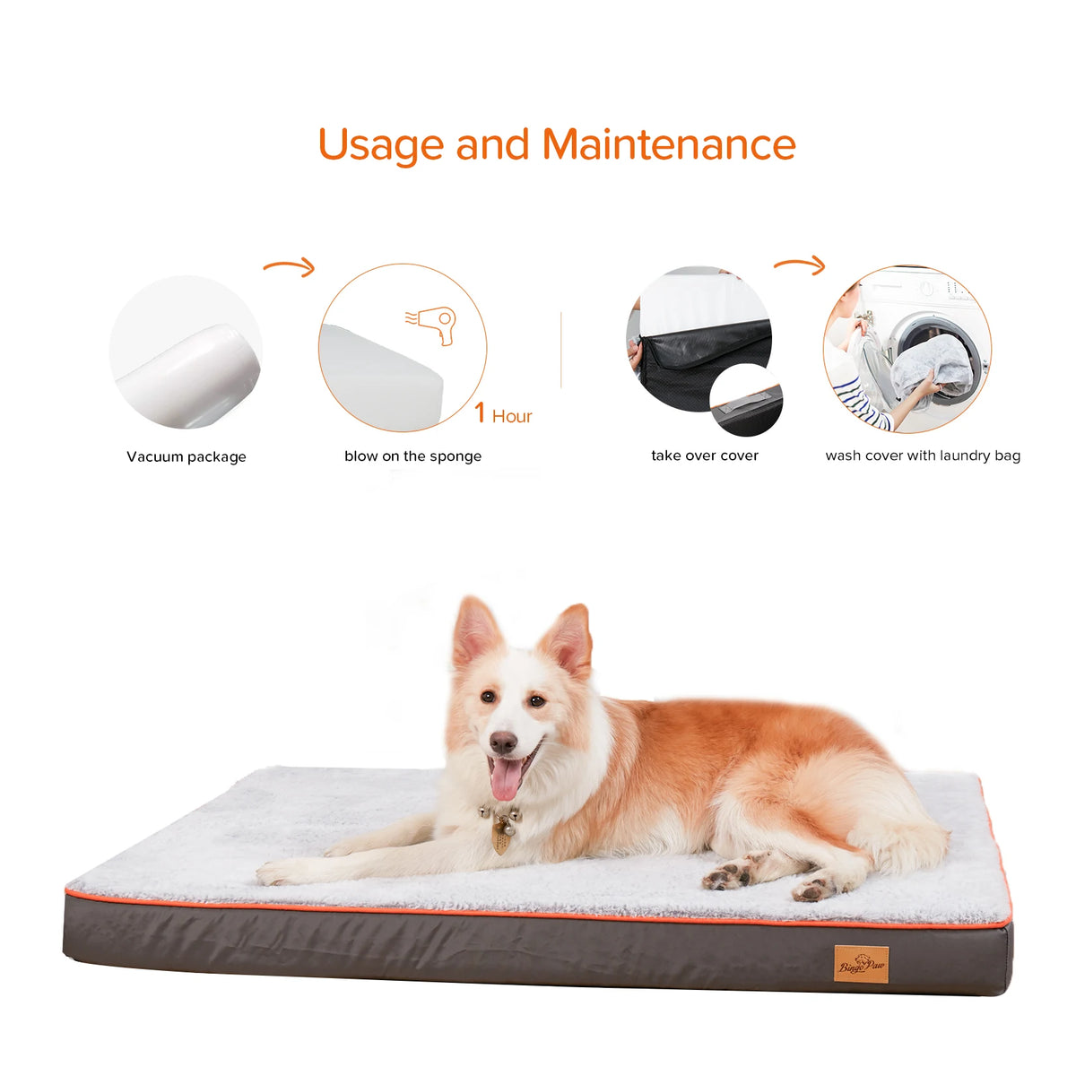 Large Orthopedic Dog Bed with Memory Foam and Washable Cover