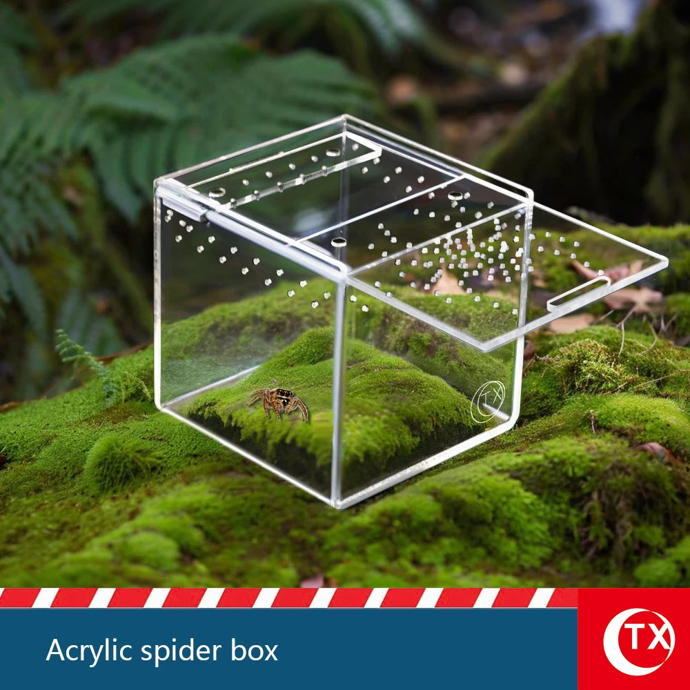 House-Shaped Acrylic Reptile Breeding Box | Transparent Pet Habitat for Spiders, Lizards & Insects | Magnetic Door & Breathable