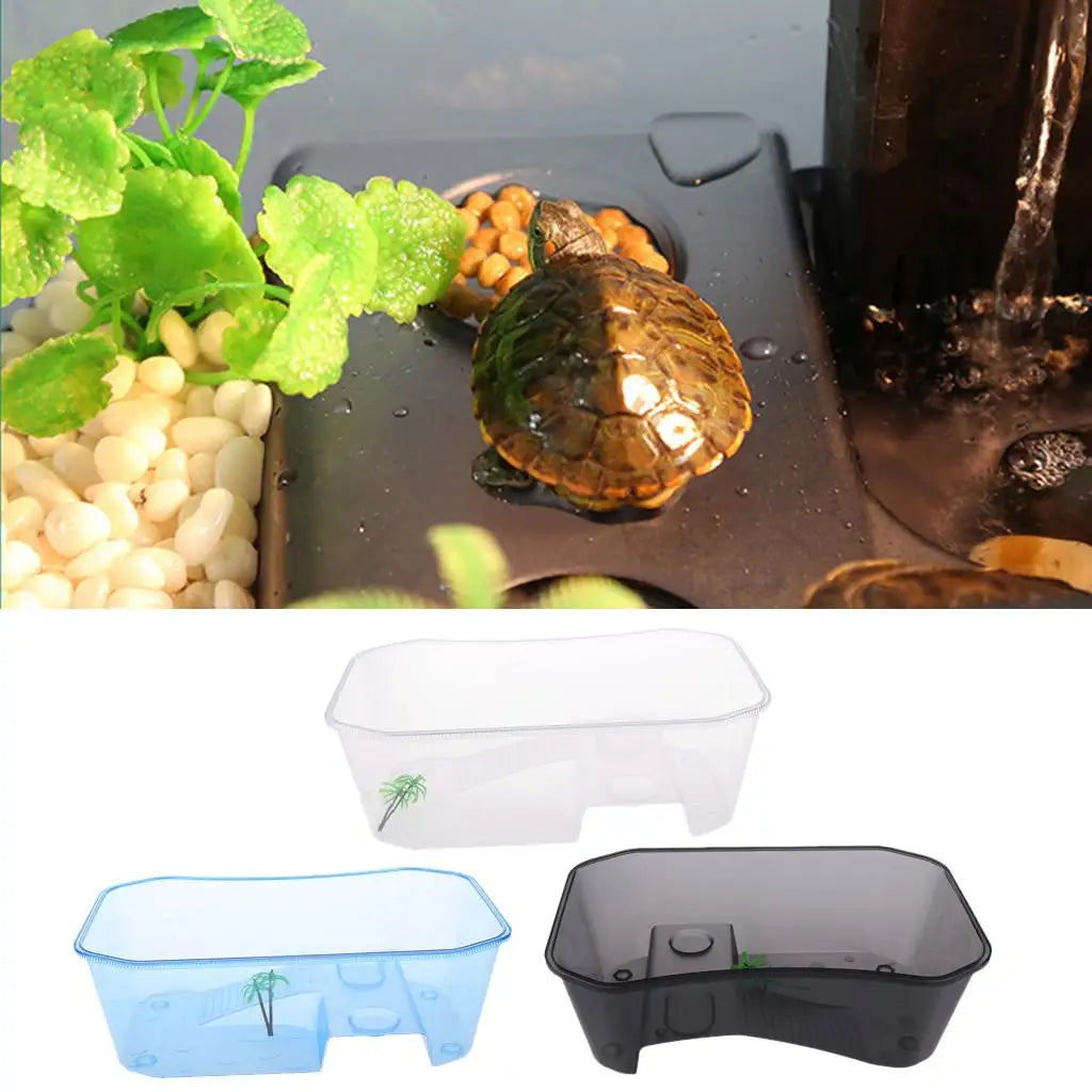Reptile terrarium tank with coconut tree ornament