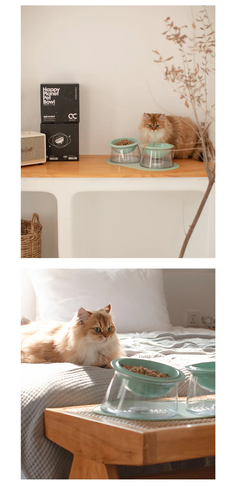 White Happy Planet Pet Bowl Tilted Raised Cat Bowl Non‑Slip Anti‑Tip Pet Feeding Dish Neck Guard Removable Bowl for Cats Small Dogs