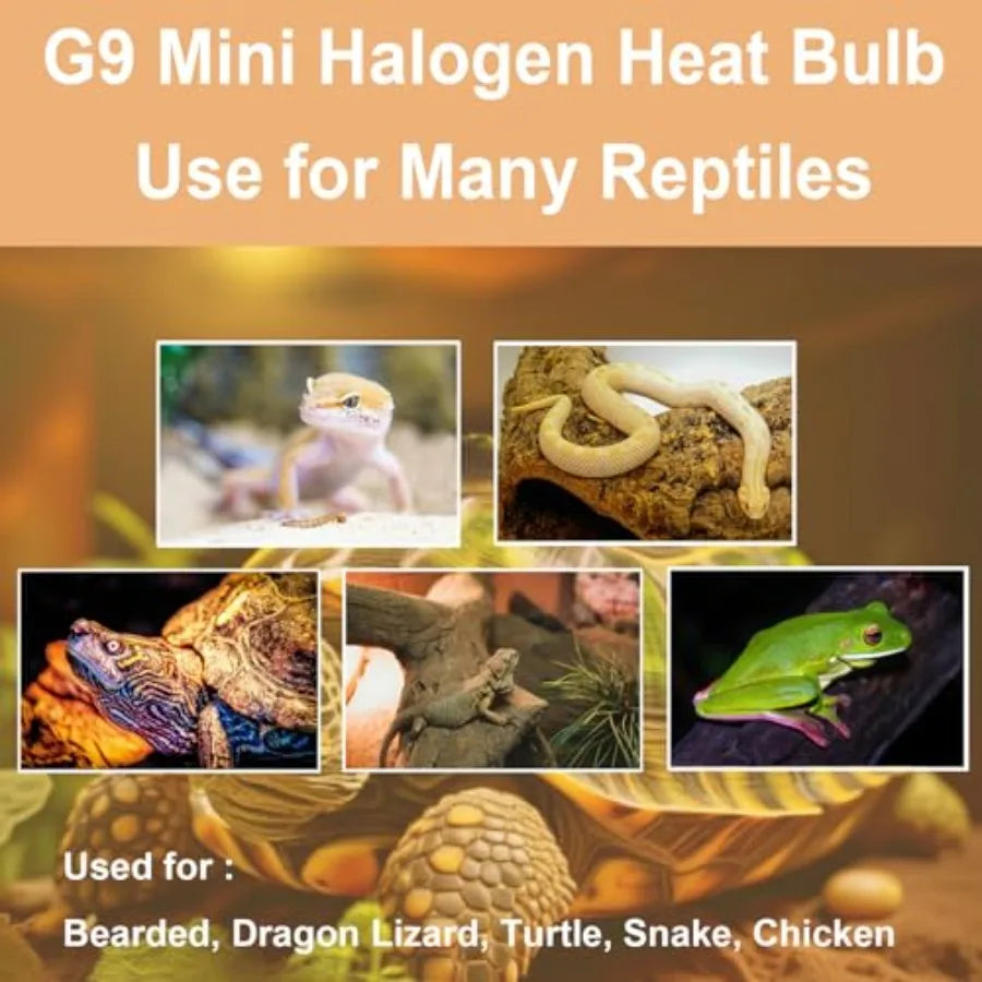G9 Heat Lamp Bulbs for Reptile, Day White, Mini Halogen Bulb 50W, Infrared Reptile Heat Lamp for Bearded Dragon Gecko Turtle Li