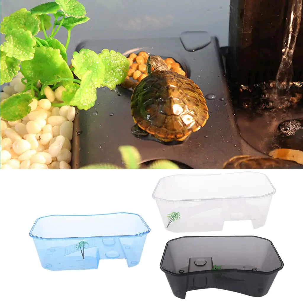 Reptile terrarium tank with coconut tree ornament