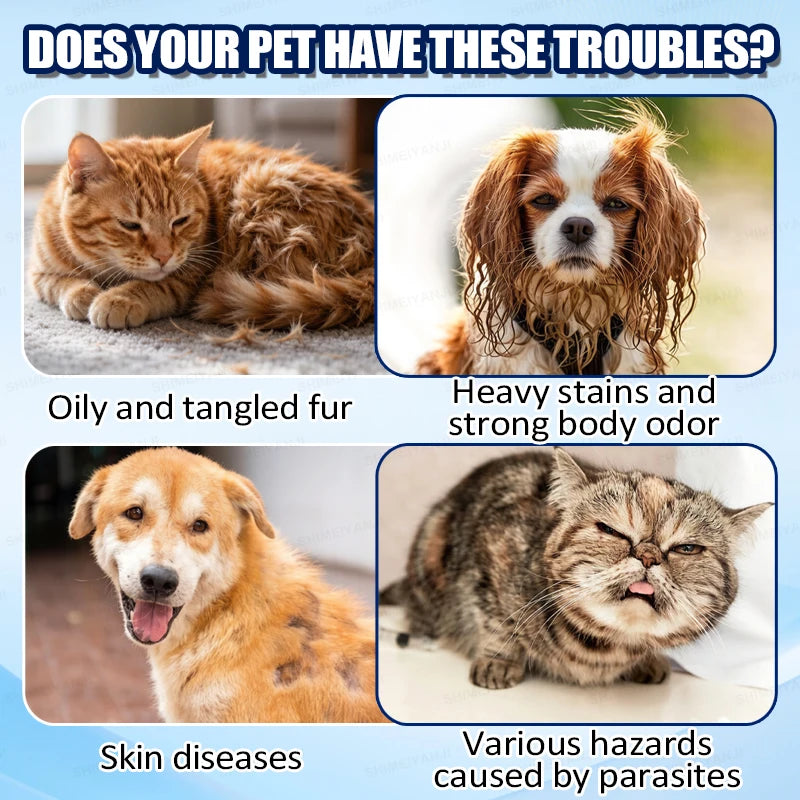 Waterless dry shampoo for cats and dogs; pet grooming and cleaning shampoo; foam; pet supplies