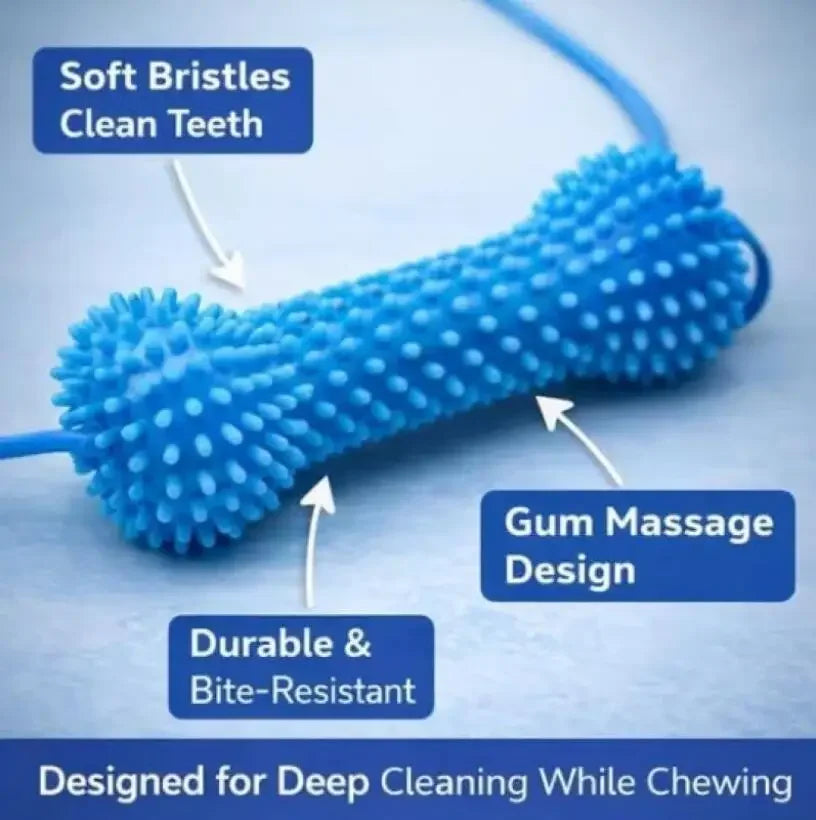 Dual-Action Canine Dental Prop, Dog Dental Chew Toy for Easier Teeth Brushing