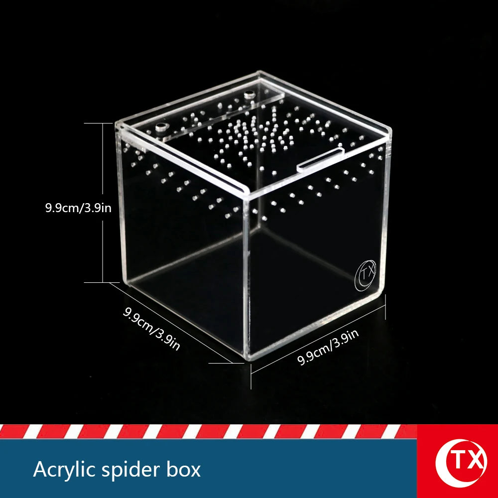 House-Shaped Acrylic Reptile Breeding Box | Transparent Pet Habitat for Spiders, Lizards & Insects | Magnetic Door & Breathable