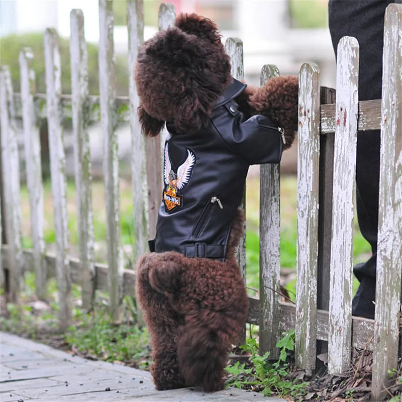 Glorious Eagle Pattern Dog Coat PU Leather Jacket Soft Waterproof Outdoor Puppy Outerwear Fashion Clothes For Small Pet