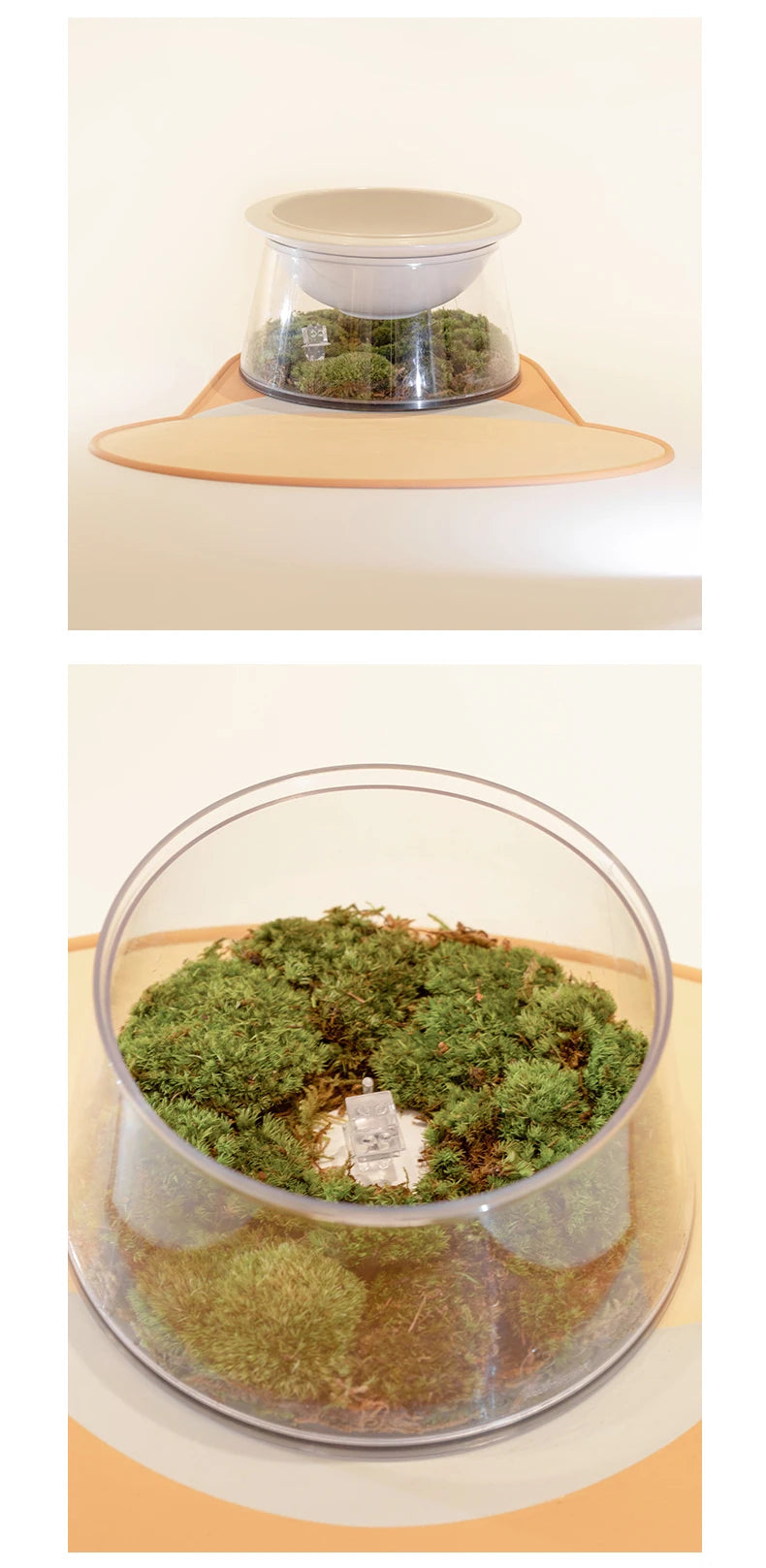 White Happy Planet Pet Bowl Tilted Raised Cat Bowl Non‑Slip Anti‑Tip Pet Feeding Dish Neck Guard Removable Bowl for Cats Small Dogs