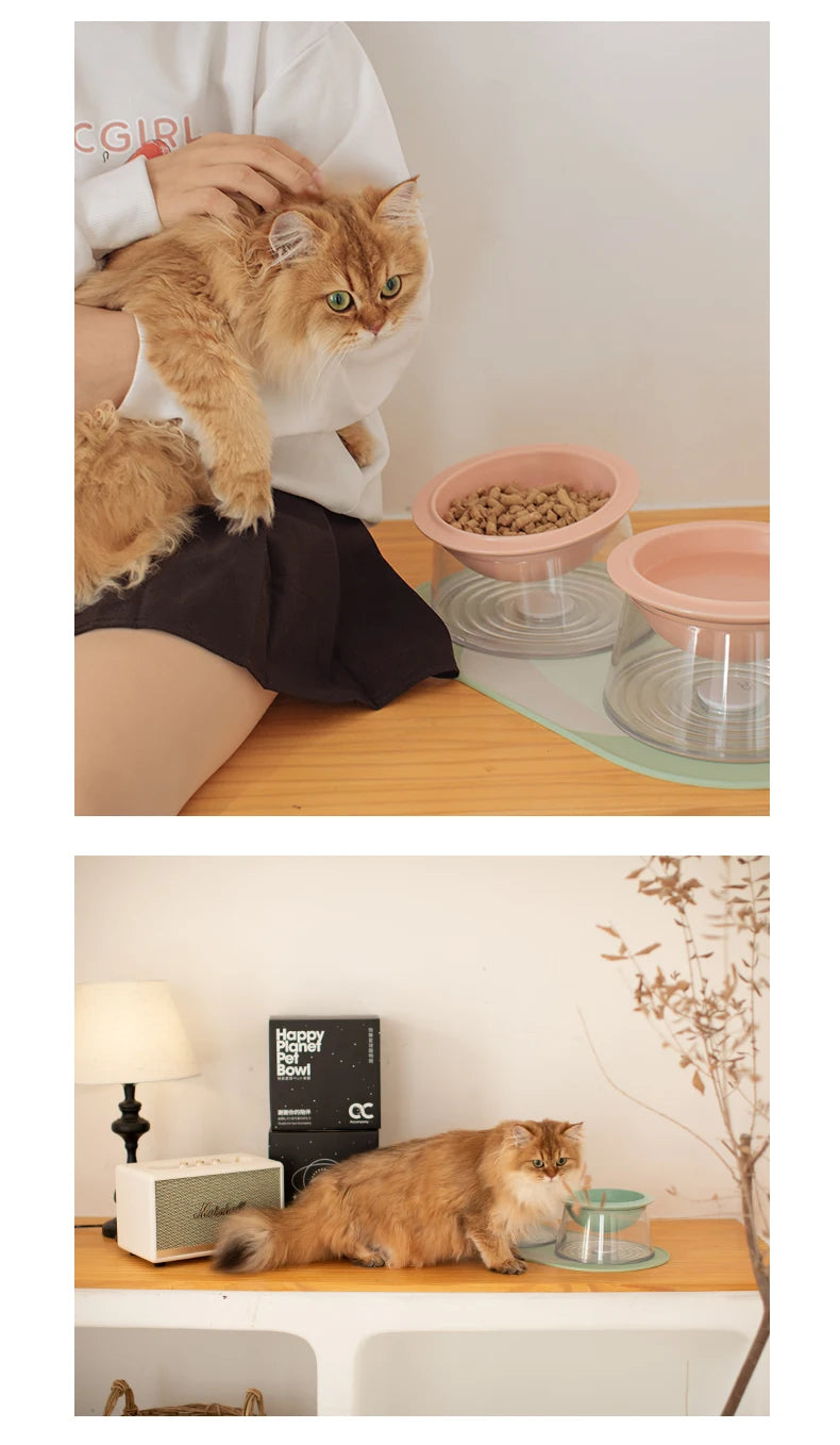 White Happy Planet Pet Bowl Tilted Raised Cat Bowl Non‑Slip Anti‑Tip Pet Feeding Dish Neck Guard Removable Bowl for Cats Small Dogs