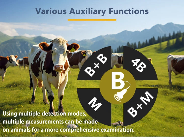 Portable Veterinary Ultrasound Scanner Vet B-Ultra Pregnancy Machine Handheld (B, BB, 4B, B+M, M) for Pig Sheep Cattle Horse Dog