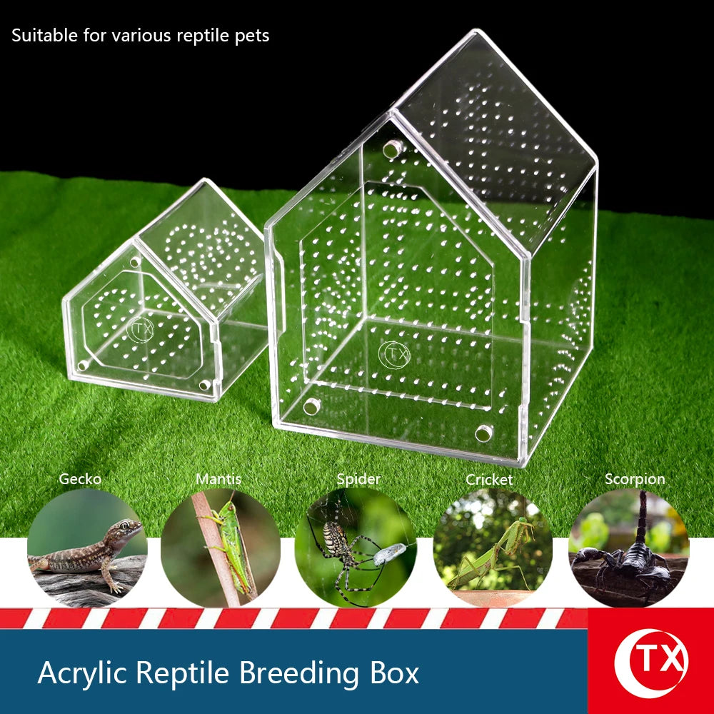 House-Shaped Acrylic Reptile Breeding Box | Transparent Pet Habitat for Spiders, Lizards & Insects | Magnetic Door & Breathable