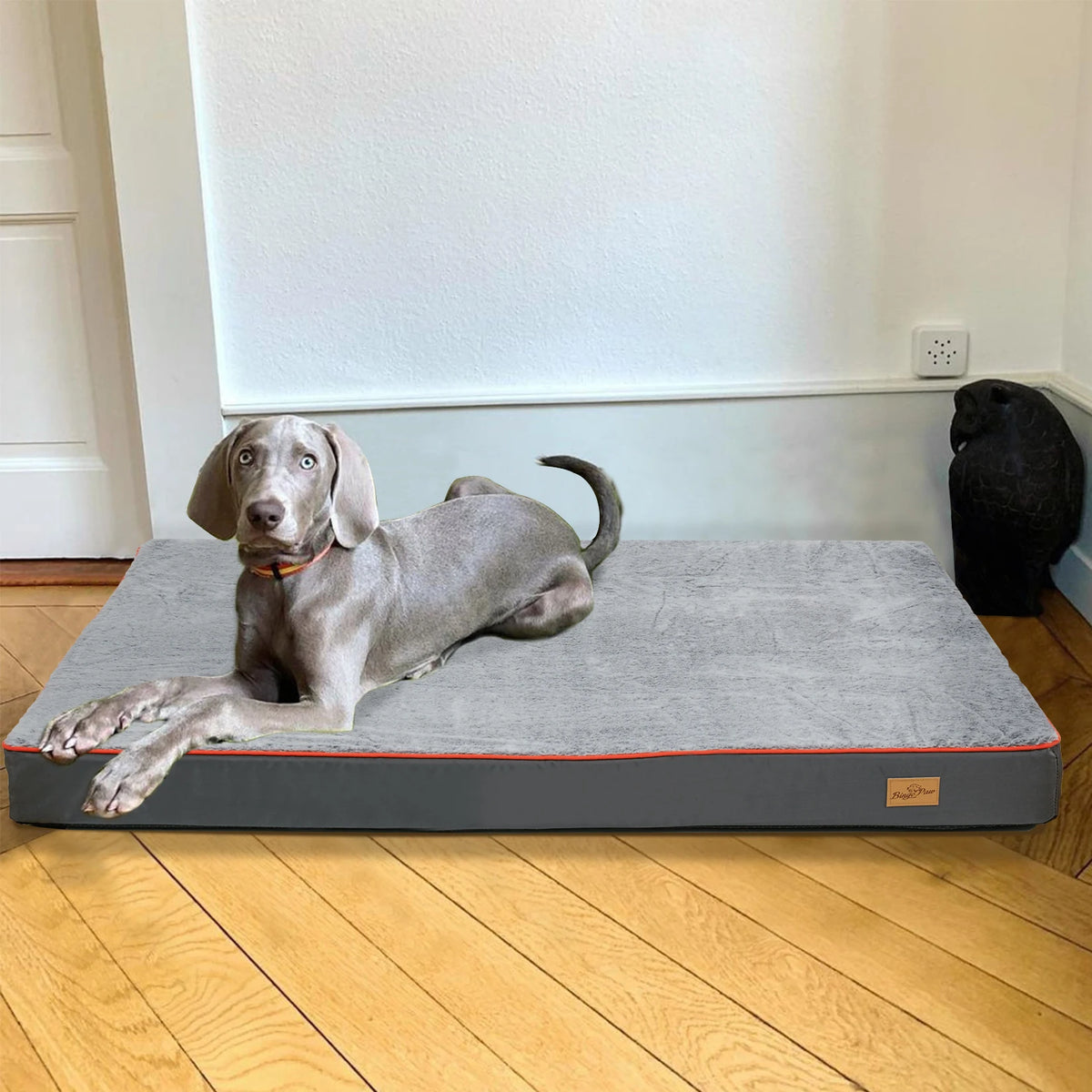Large Orthopedic Dog Bed with Memory Foam and Washable Cover