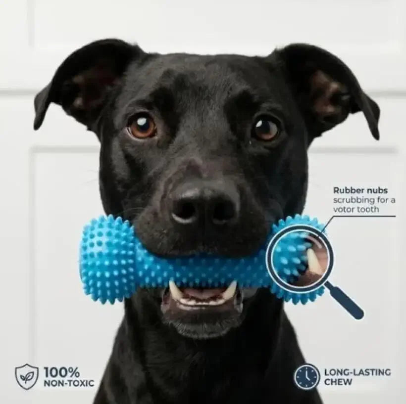 Dual-Action Canine Dental Prop, Dog Dental Chew Toy for Easier Teeth Brushing