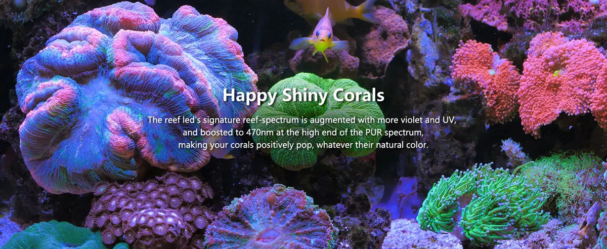 PopBloom WiFi Reef LED Light, 60W 90W 120W Full Spectrum Marine Reef LED Aquarium Lighting for Soft/LPS Corals & Saltwater Fish Nano Tanks, Built-in Timer, Sunrise Sunset