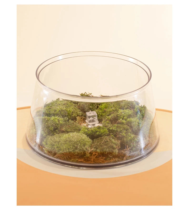 White Happy Planet Pet Bowl Tilted Raised Cat Bowl Non‑Slip Anti‑Tip Pet Feeding Dish Neck Guard Removable Bowl for Cats Small Dogs