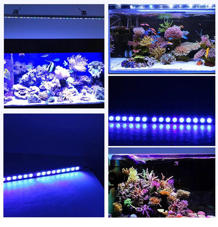 POPULARGROW Dimmable 115CM LED Aquarium Light with All 470nm Blue Spectrum LEDs 108W LED Strip Light for Coral Reef Fish Tank