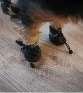 4 PCS Set of Waterproof Pet Dog Shoes, Anti Slip Soft Soled Rain Boots, Kitten Dog Shoes, Puppy Boots, Paw Accessory