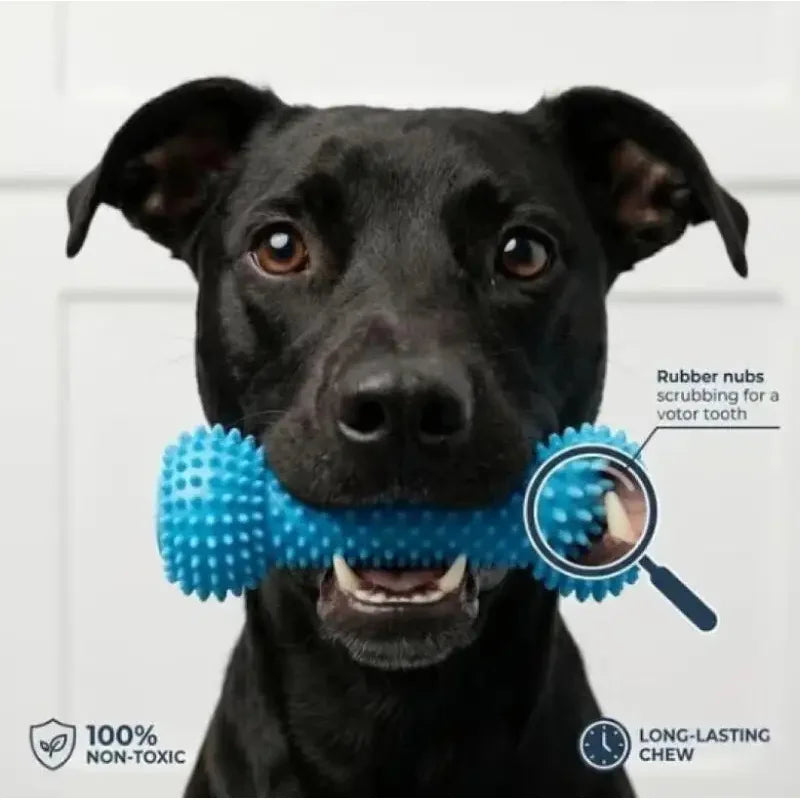Dual-Action Canine Dental Prop, Dog Dental Chew Toy for Easier Teeth Brushing