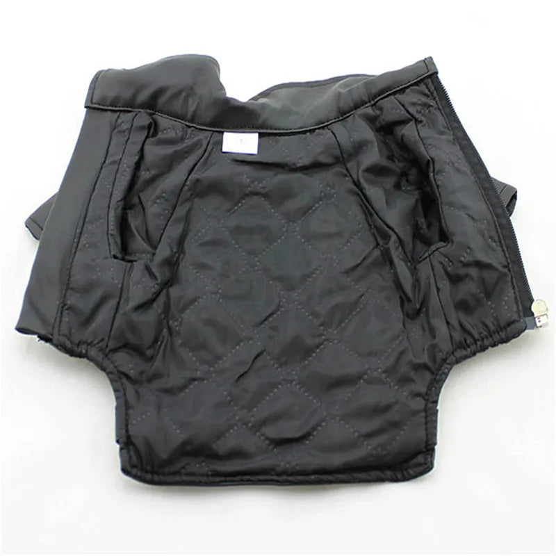 Glorious Eagle Pattern Dog Coat PU Leather Jacket Soft Waterproof Outdoor Puppy Outerwear Fashion Clothes For Small Pet