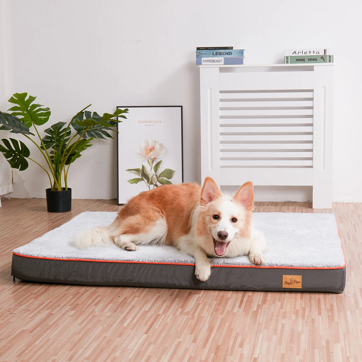 Large Orthopedic Dog Bed with Memory Foam and Washable Cover