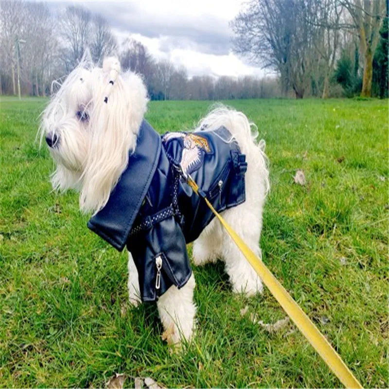 Glorious Eagle Pattern Dog Coat PU Leather Jacket Soft Waterproof Outdoor Puppy Outerwear Fashion Clothes For Small Pet