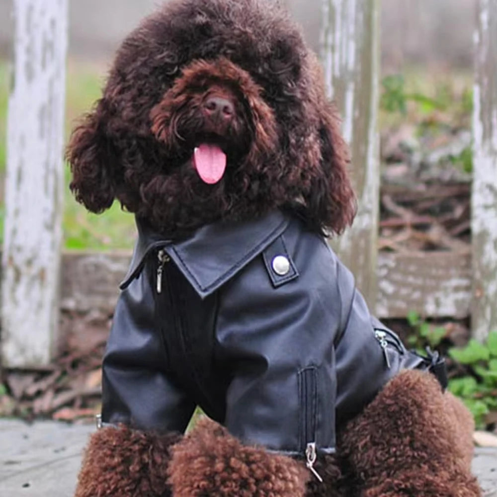 Glorious Eagle Pattern Dog Coat PU Leather Jacket Soft Waterproof Outdoor Puppy Outerwear Fashion Clothes For Small Pet