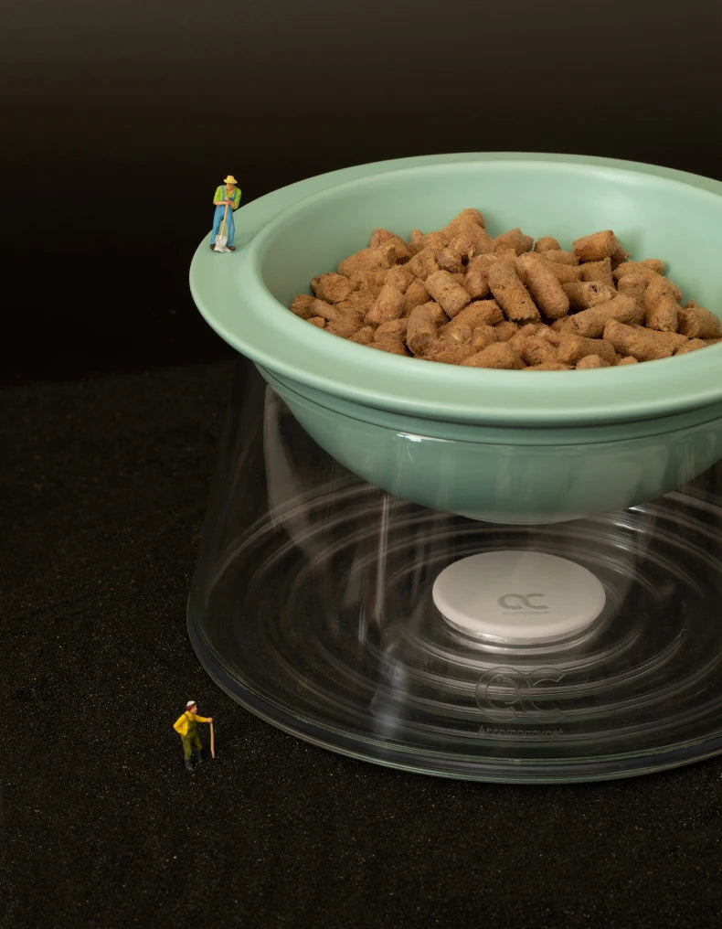 White Happy Planet Pet Bowl Tilted Raised Cat Bowl Non‑Slip Anti‑Tip Pet Feeding Dish Neck Guard Removable Bowl for Cats Small Dogs