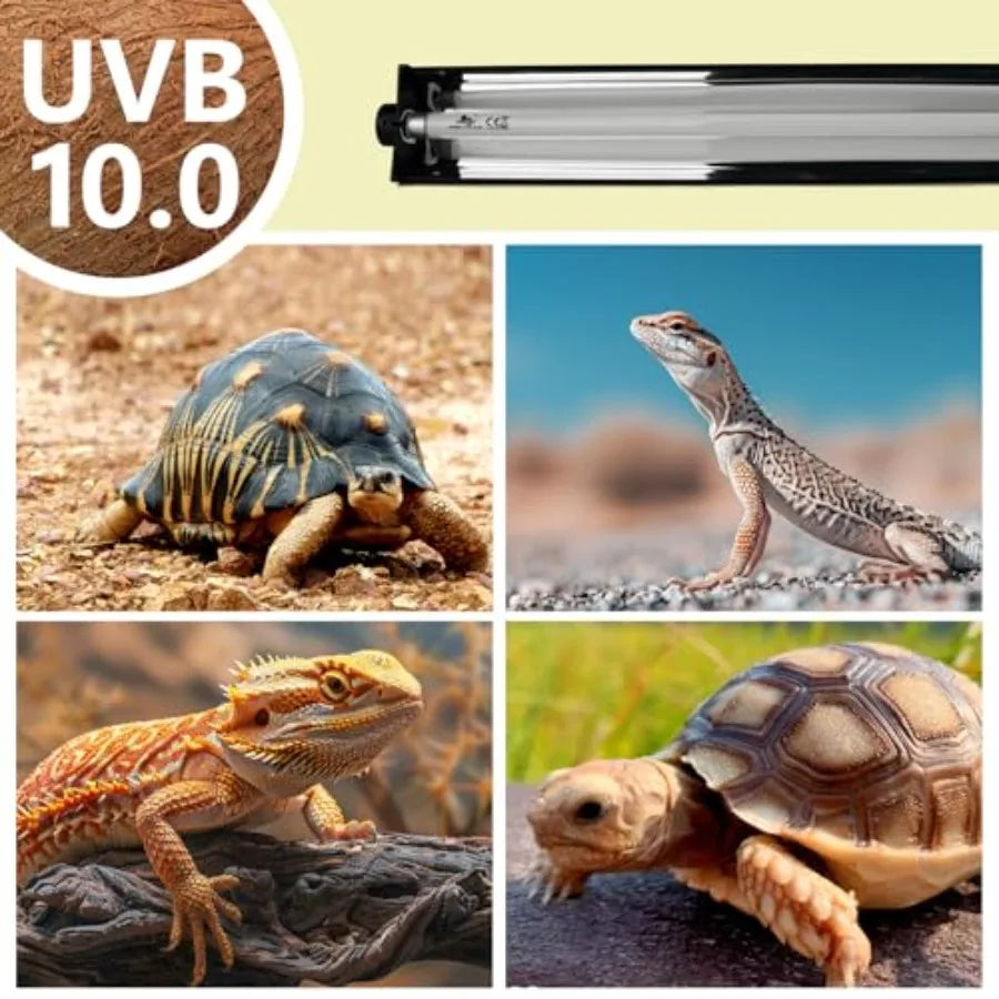 T5 UVB Lighting Combo Kit for Reptiles, Light Fixture with Desert T5 UVB Light Bulbs Terrarium Hood Heat Lamp for Breaded Drago