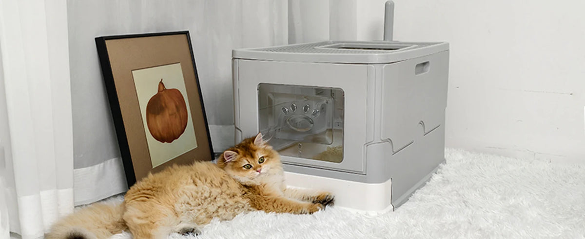 Large Cat Litter Box Kitty Sandbox Cat Litter Box Enclosed Splashproof Cat Tray Toilet Cleaning Basin Supplies Pet Toilet Tray