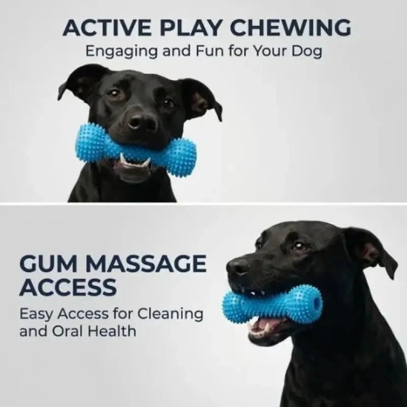Dual-Action Canine Dental Prop, Dog Dental Chew Toy for Easier Teeth Brushing