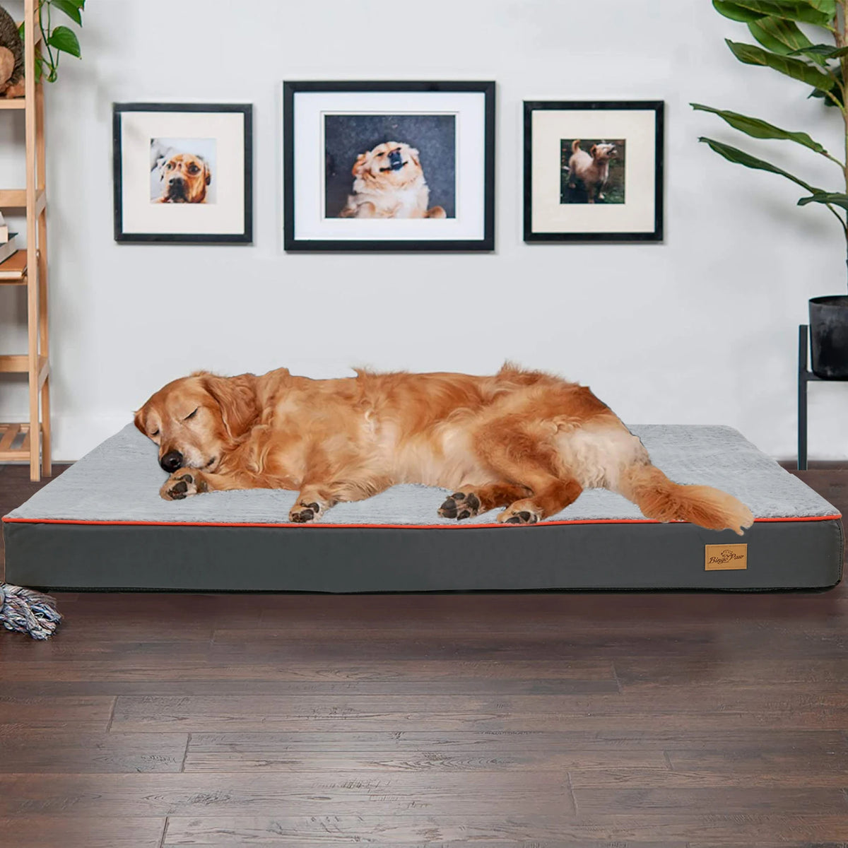 Large Orthopedic Dog Bed with Memory Foam and Washable Cover
