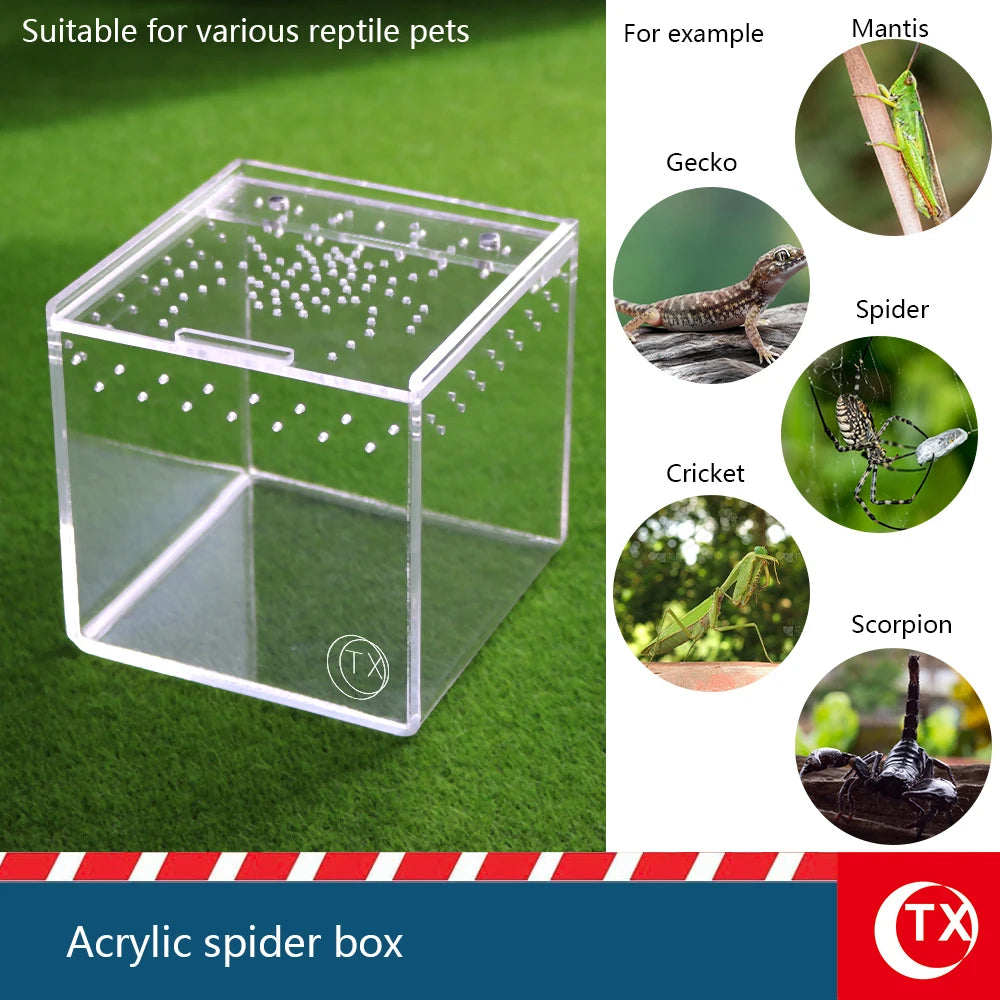 House-Shaped Acrylic Reptile Breeding Box | Transparent Pet Habitat for Spiders, Lizards & Insects | Magnetic Door & Breathable