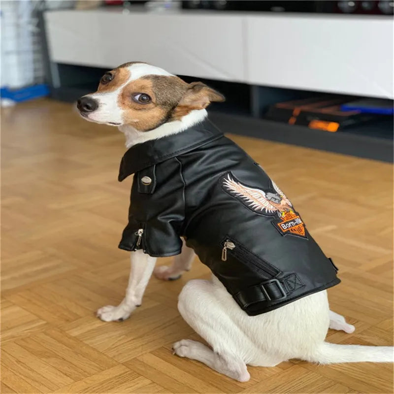 Glorious Eagle Pattern Dog Coat PU Leather Jacket Soft Waterproof Outdoor Puppy Outerwear Fashion Clothes For Small Pet