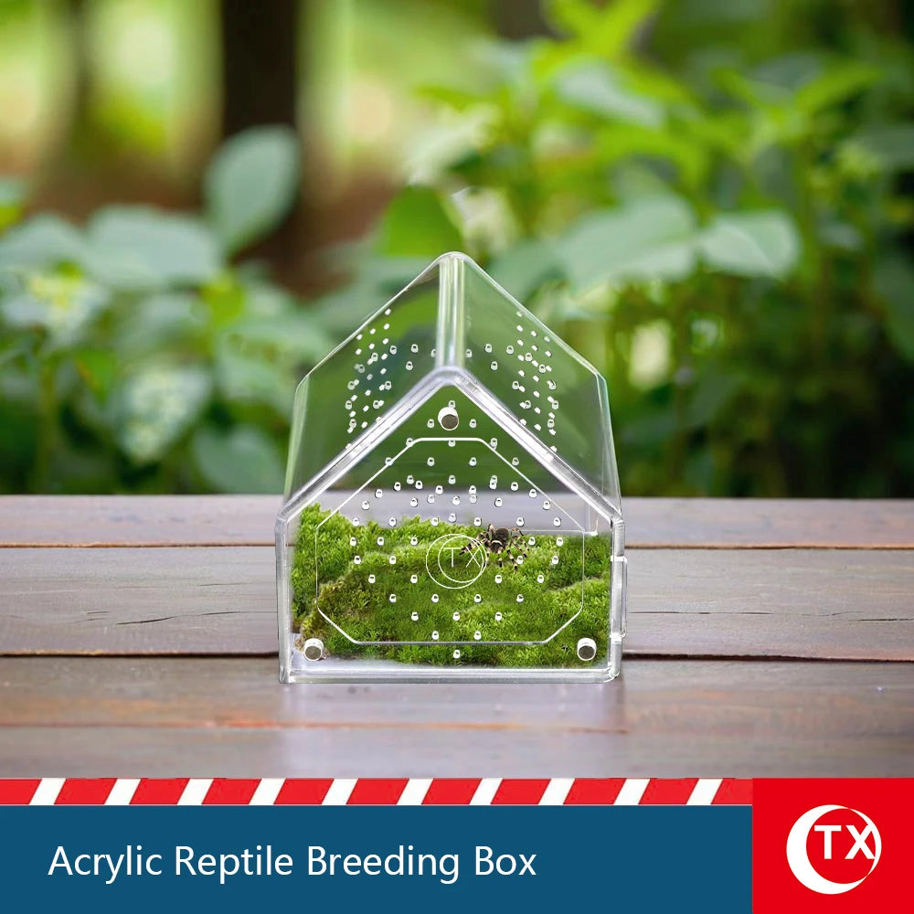 House-Shaped Acrylic Reptile Breeding Box | Transparent Pet Habitat for Spiders, Lizards & Insects | Magnetic Door & Breathable