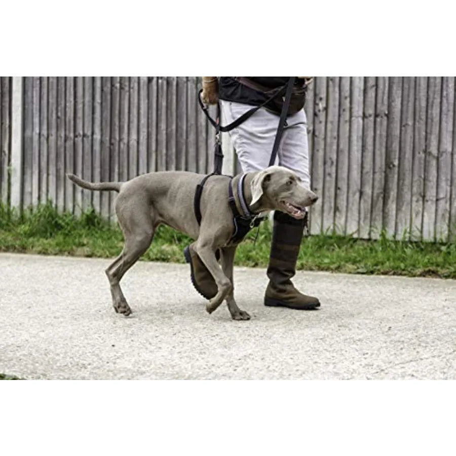 No Pull Dog Harness Size L, Black Stop Your Dog Pulling on the Leash Adjustable, Lightweight, and Easy to Use Dog Training Harn