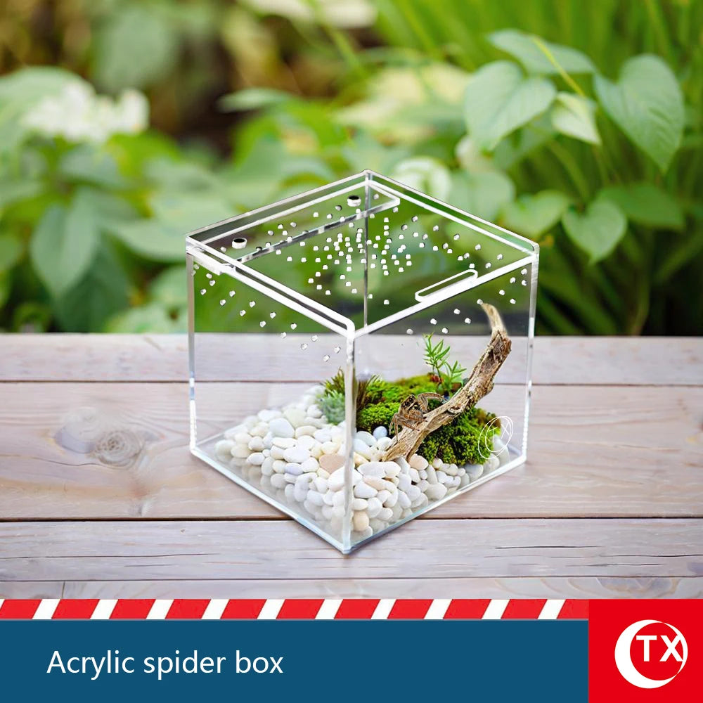 House-Shaped Acrylic Reptile Breeding Box | Transparent Pet Habitat for Spiders, Lizards & Insects | Magnetic Door & Breathable