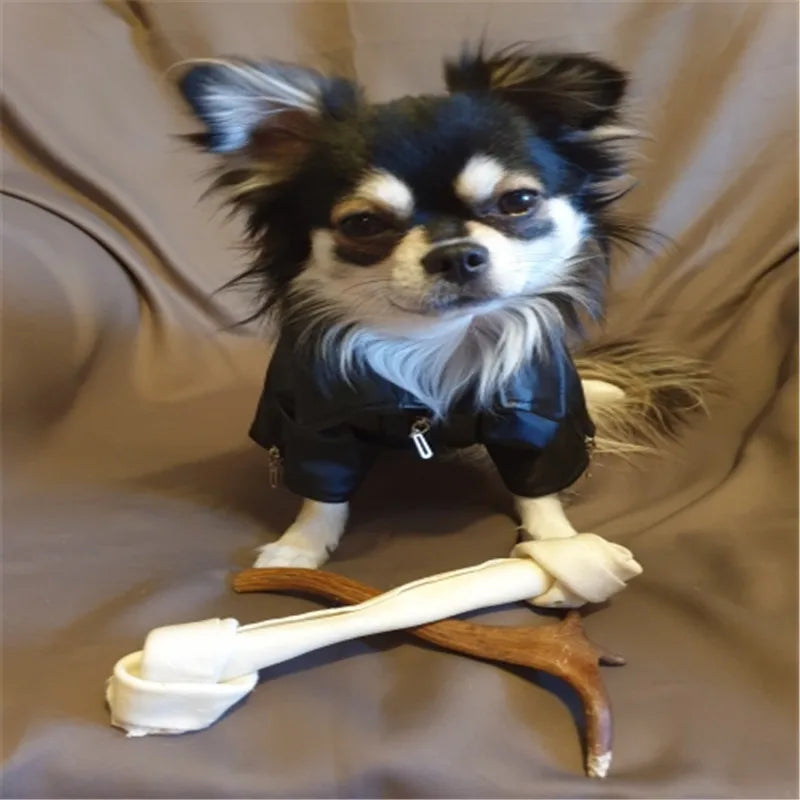 Glorious Eagle Pattern Dog Coat PU Leather Jacket Soft Waterproof Outdoor Puppy Outerwear Fashion Clothes For Small Pet